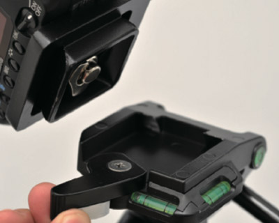 クイックシュー